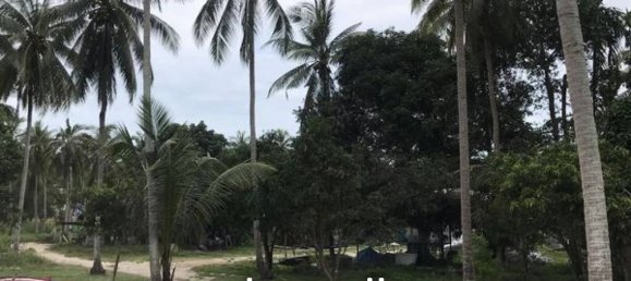  Commercial property in Surat Thani, Thailand No. 24811 4