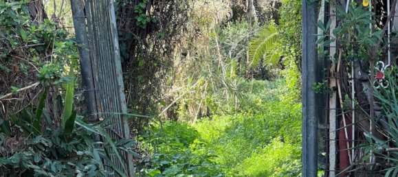 5-Zimmer Doppelhaus in Capaccio Paestum, Italy, Nr. 123536 11