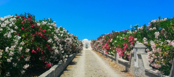 3 rooms House in Ostuni, Italy No. 79765 5