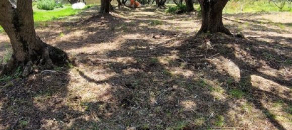 500m² Land in Camerota, Italy No. 254257 2