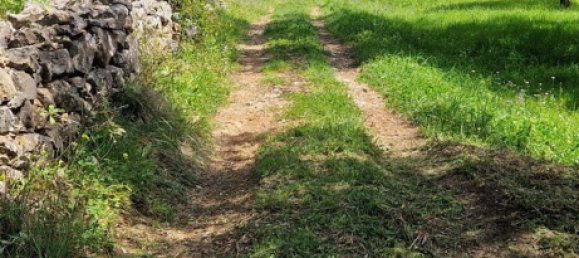 500m² Land in Camerota, Italy No. 254257 3