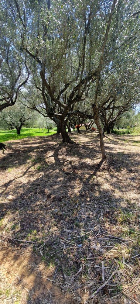500m² Land in Camerota, Italy No. 254257