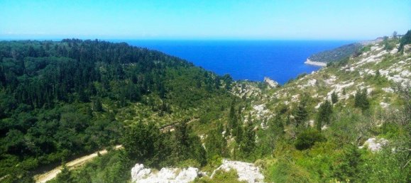 5000m² Hotel in Corfu, Greece No. 6685 2