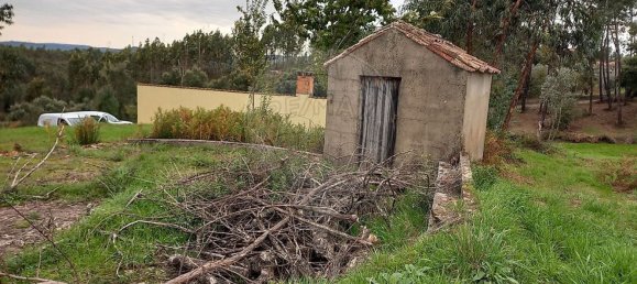 Studio in Serta, Portugal No. 37348 10