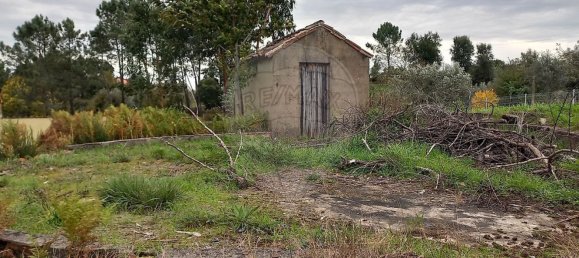 Studio in Serta, Portugal No. 37348 11