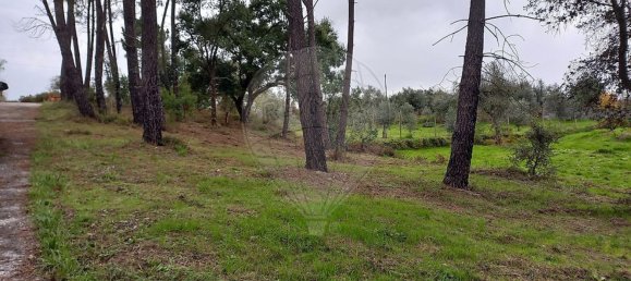 Studio in Serta, Portugal No. 37348 14