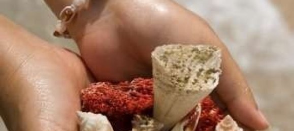 6 Schlafzimmer Villa in Tanjung, Indonesia, Nr. 2935 12