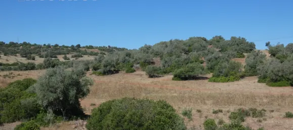 Дом с 3 спальнями в Портиман, Португалия № 74989 16