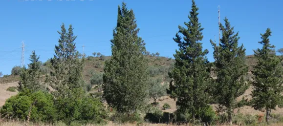 Дом с 3 спальнями в Портиман, Португалия № 74989 31