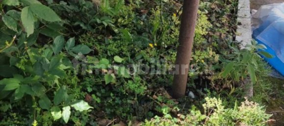 2 غرف نوم شقة في Rubiana, Italy رقم 315126 15