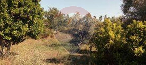 3 غرف نوم منزل في Sardoal, Portugal رقم 24162 8