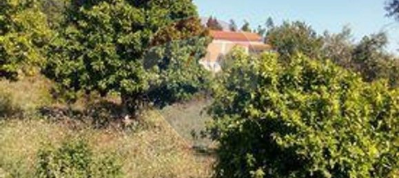 3 غرف نوم منزل في Sardoal, Portugal رقم 24162 13