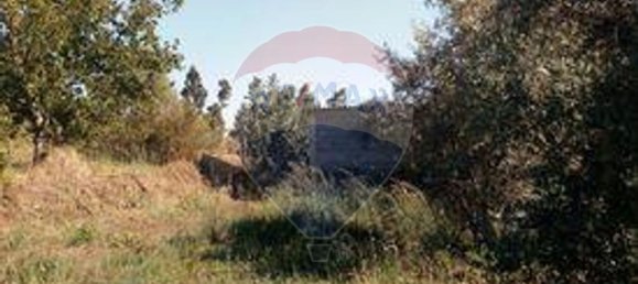 3 غرف نوم منزل في Sardoal, Portugal رقم 24162 9