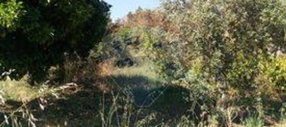 3 غرف نوم منزل في Sardoal, Portugal رقم 24162 15