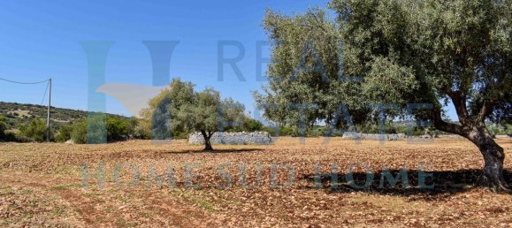 1 Schlafzimmer Haus in Noto, Italy, Nr. 20334 19