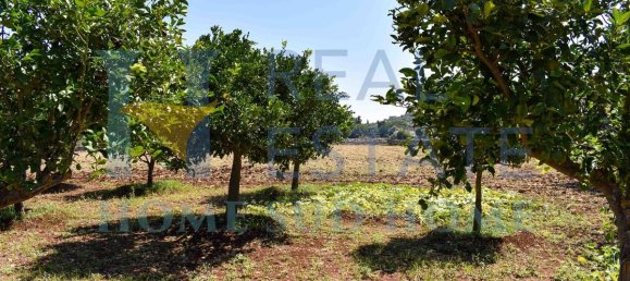 1 Schlafzimmer Haus in Noto, Italy, Nr. 20334 46