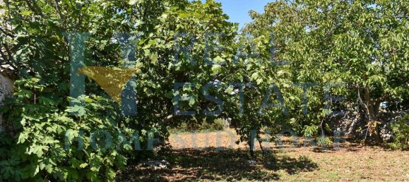 1 Schlafzimmer Haus in Noto, Italy, Nr. 20334 44