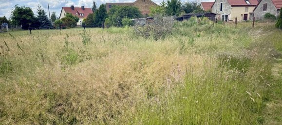 Casa T3 em Wittenberg, Germany N.º 309458 3