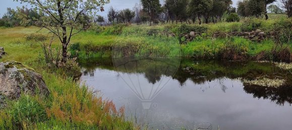 3 bedrooms House in Penamacor, Portugal No. 37794 18