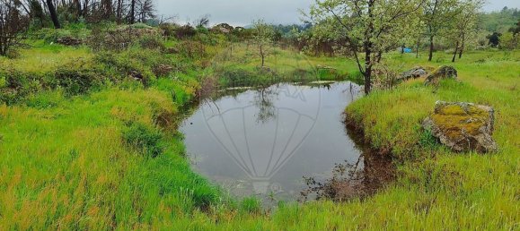 3 bedrooms House in Penamacor, Portugal No. 37794 19