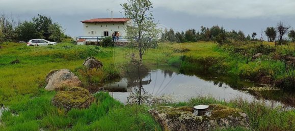 3 bedrooms House in Penamacor, Portugal No. 37794 15