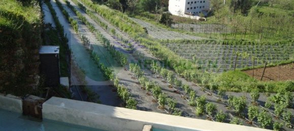 5 bedrooms House in Sever do Vouga, Portugal No. 260059 31