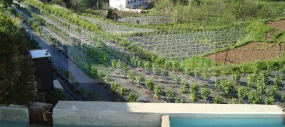 5 bedrooms House in Sever do Vouga, Portugal No. 260059 30