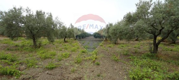 Дом с 3 спальнями в Кьярамонте Гульфи, Италия № 353641 25