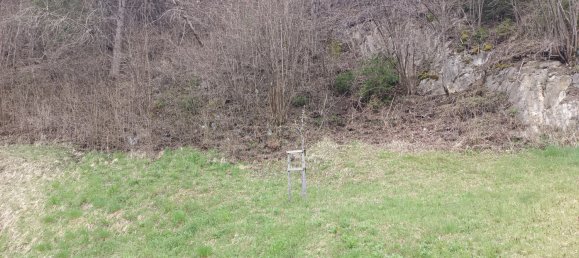  Land in Prutz, Austria No. 212832 3