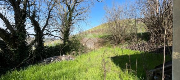 6 rooms House in Canelli, Italy No. 221365 29