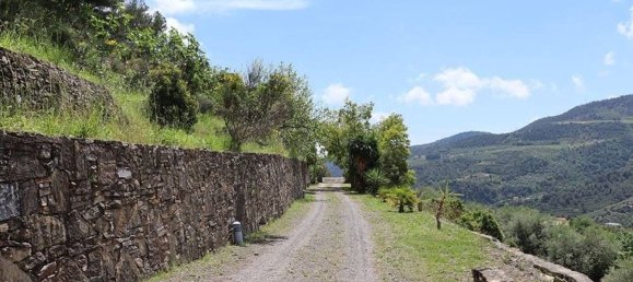 Villa de 4 habitaciónes en Dolceacqua, Italy No. 223514 19