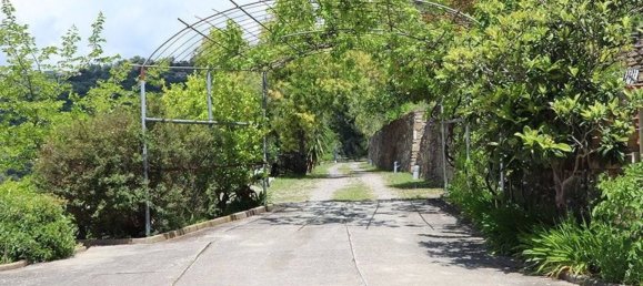 Villa de 4 habitaciónes en Dolceacqua, Italy No. 223514 22