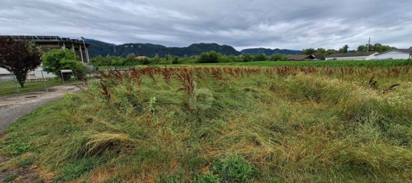 Grundstück in Grafenstein, Austria, Nr. 202575 2