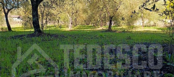 1600m² Land in San Nicola Manfredi, Italy No. 303447 15