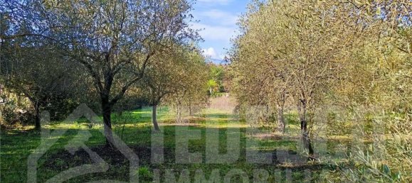 1600m² Land in San Nicola Manfredi, Italy No. 303447 45