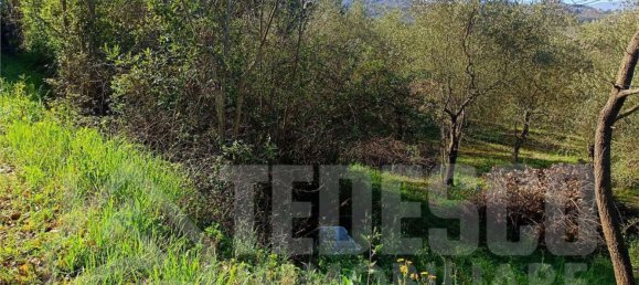 1600m² Land in San Nicola Manfredi, Italy No. 303447 26