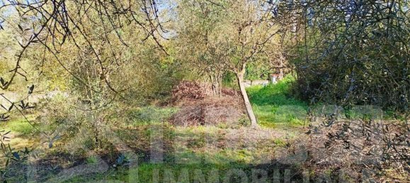 1600m² Land in San Nicola Manfredi, Italy No. 303447 14