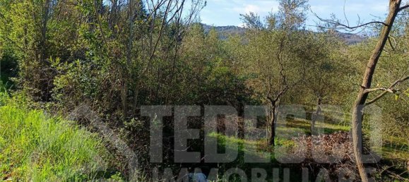 1600m² Land in San Nicola Manfredi, Italy No. 303447 25