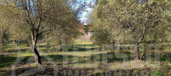 1600m² Land in San Nicola Manfredi, Italy No. 303447 10