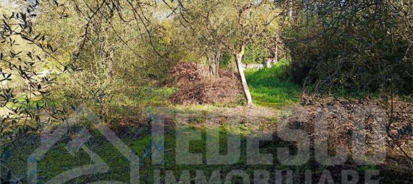 1600m² Land in San Nicola Manfredi, Italy No. 303447 42