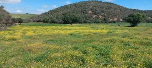 Terreno en Vejer de la Frontera, Spain 11500 m² No. 186683 2