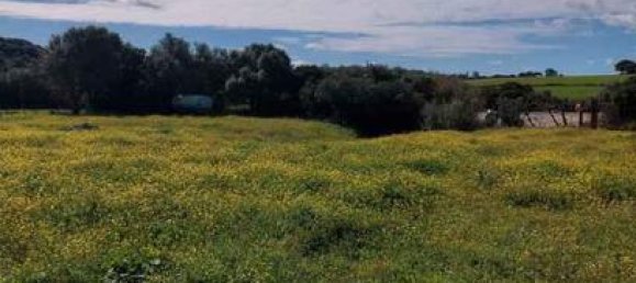 Terreno en Vejer de la Frontera, Spain 11500 m² No. 186683 8