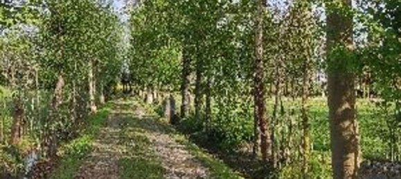 8-Zimmer Villa in Campodarsego, Italy, Nr. 251489 7