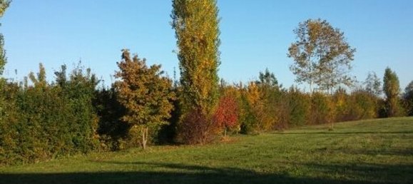 8-Zimmer Villa in Campodarsego, Italy, Nr. 251489 4