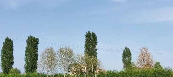 8-Zimmer Villa in Campodarsego, Italy, Nr. 251489 5