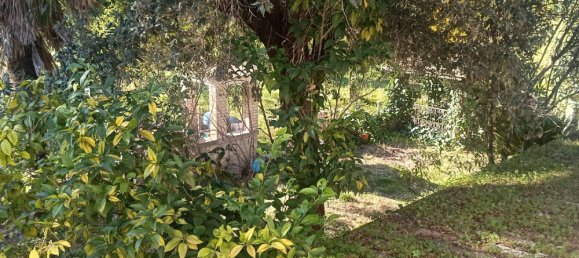 5 Schlafzimmer Villa in Sant'Apollinare, Italy, Nr. 371926 5