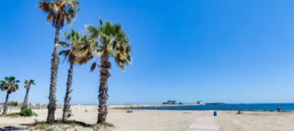 1 bedroom Apartment in Torrevieja, Spain No. 190057 22