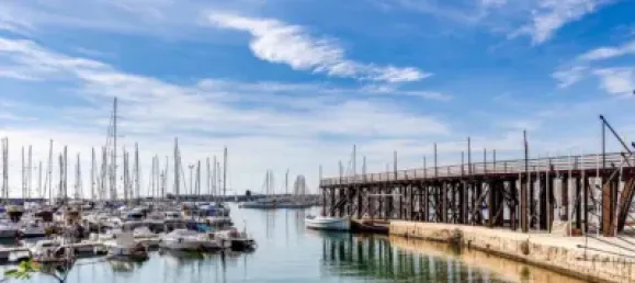 1 bedroom Apartment in Torrevieja, Spain No. 190057 25