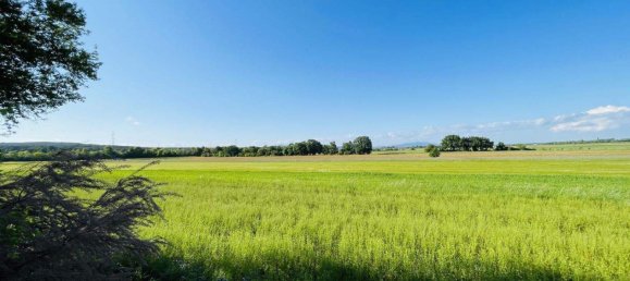 6 rooms House in Wollersdorf-Steinabruckl, Austria No. 246082 3