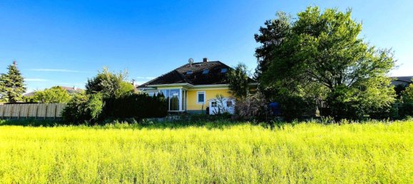 6 rooms House in Wollersdorf-Steinabruckl, Austria No. 246082 2